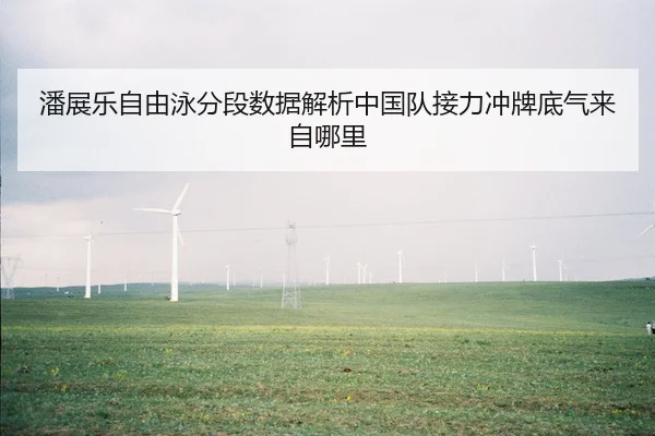 潘展乐自由泳分段数据解析中国队接力冲牌底气来自哪里